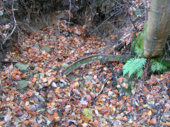 
Plas-y-coed Colliery, November 2008