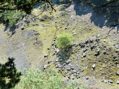 
Hafodyrynys Western Canyon, Rithan Colliery, general view from the North, June 2013