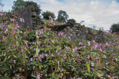 
Tirpentwys Colliery magazine, September 2013