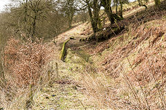 
Tirpentwys Colliery, Pantygasseg village incline, March 2015