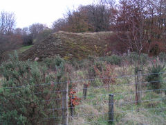 
Ty-gwyn Colliery tips, November 2008