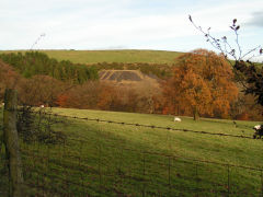 Ty Shewy Colliery tips, Pantygasseg, November 2008
