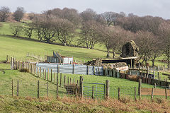 
Blaen-nant-ddu Farm, November 2015