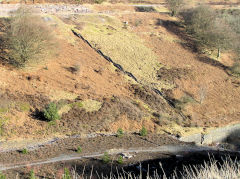 
Blaenserchan Colliery pithead baths steps, February 2010