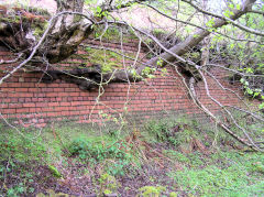 
Blaenserchan Colliery washery retaining wall, May 2010