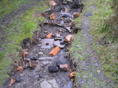 
Blaenserchan Colliery washery trackbed, May 2010