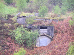 
Blaenserchan Colliery washery tippler level, May 2010