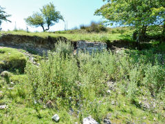 
Crossfence House ruins, Cwm-Nant-Ddu, July 2011