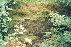 Graig Ddu Brickworks GWR branch, Cwm-nant-ddu, September 2005