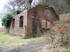 
Graig Ddu Brickworks Eastern building, Cwm-nant-ddu, March 2010