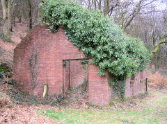 
Graig Ddu Brickworks Eastern building, Cwm-nant-ddu, March 2010