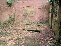 Graig Ddu Brickworks Eastern building, Cwm-nant-ddu, March 2010