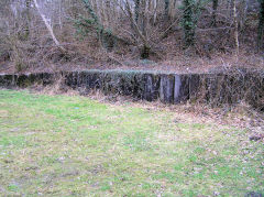 
Graig Ddu Brickworks, Cwm-nant-ddu. I thought these blocks were part of a loading dock but they were to try to restrain the encroaching bank behind the yard, March 2010.