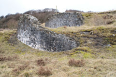 
Greenland Colliery, Cwm-nant-ddu, January 2010