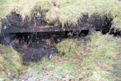 
Greenland Colliery air shaft, Cwm-nant-ddu, January 2010