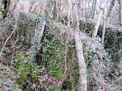 
Greenland Colliery incline bunker, Cwm-nant-ddu, March 2010