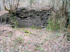 
Greenland Colliery incline foot, Cwm-nant-ddu, March 2010