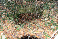 
Gypsy Lane shaft, Cwm-nant-ddu, January 2010