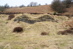 
Llanerch Colliery, Cwm-nant-ddu, January 2010