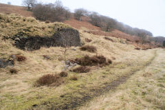 
Llanerch Colliery, Cwm-nant-ddu, January 2010