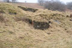 
Llanerch Colliery, Cwm-nant-ddu, January 2010