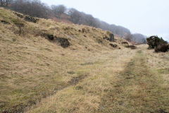 
Llanerch Colliery, Cwm-nant-ddu, January 2010