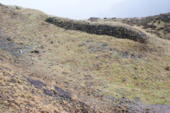 
Llanerch Colliery, Cwm-nant-ddu, January 2010