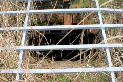 
Llanerch Colliery Eastern level, Cwm-nant-ddu, January 2010