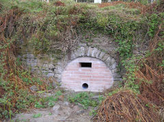 
Llanerch Colliery Northern level, Cwm-nant-ddu, January 2010