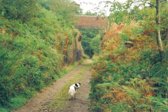 
Morrisons Pit, Bridge over the GWR, Cwm-nant-ddu, September 2005