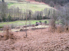 
Morrisons Pit, Cwm-nant-ddu, March 2010