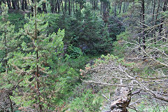 
Pen-rhiw-fid Quarry, Cwm-nant-ddu, July 2020