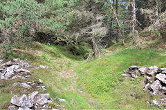 Pen-rhiw-fid Quarry, Cwm-nant-ddu, July 2020