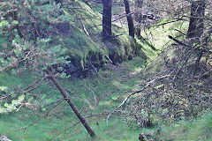 
Pen-rhiw-fid Quarry, Cwm-nant-ddu, July 2020