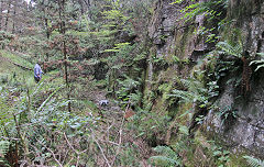 
Pen-rhiw-fid Quarry, Cwm-nant-ddu, July 2020