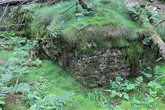 Pen-rhiw-fid Quarry tramway leaving the quarry, Cwm-nant-ddu, July 2020