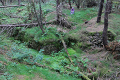 
Pen-rhiw-fid Quarry tramway leaving the quarry, Cwm-nant-ddu, July 2020