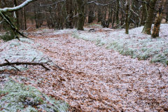Pen-rhiw-fid Quarry incline looking down, Cwm-nant-ddu, January 2010