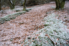 
Pen-rhiw-fid Quarry incline looking up, Cwm-nant-ddu, January 2010