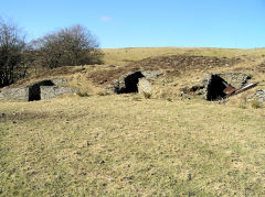Pen-rhiw-fid Quarry tips and bins, Cwm-nant-ddu, February 2010