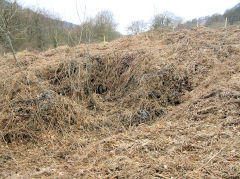 
Pistyll Gwyn collapsed level below Llanerch lane, Cwm-nant-ddu, March 2010