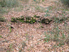 
Pistyll Gwyn foundations below Llanerch lane, Cwm-nant-ddu, March 2010