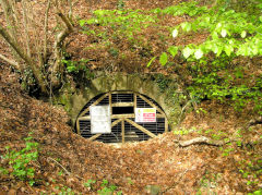 
Pistyll Gwyn level below Llanerch lane, Cwm-nant-ddu, March 2010