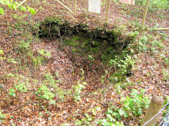 
Pistyll Gwyn airshaft below Llanerch lane, Cwm-nant-ddu, March 2010