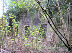 Robin Hood Inn, Cwm-nant-ddu, May 2010