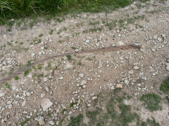 
Opencast site, 2 inch cable, Travellers Rest, Cwmnantddu, July 2011