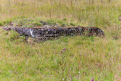 
Opencast site pylon base, Travellers Rest, Cwmnantddu, July 2011