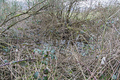 Balance Pit feeder, Glyn Valley, March 2015