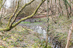 
Site of the Balance Pit, Glyn Valley, March 2015