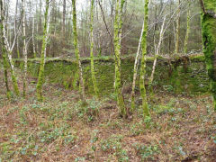 Glyn Pits leat causeway, April 2011